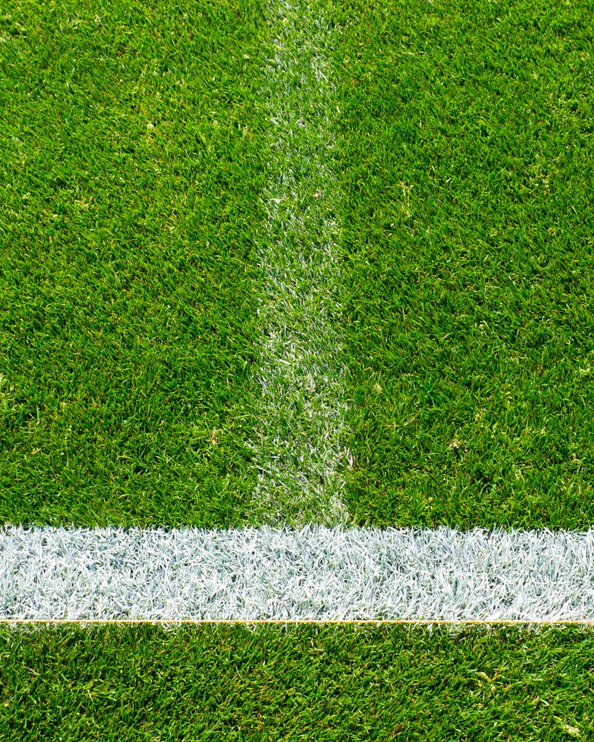 Green grass with a white line on a sports field